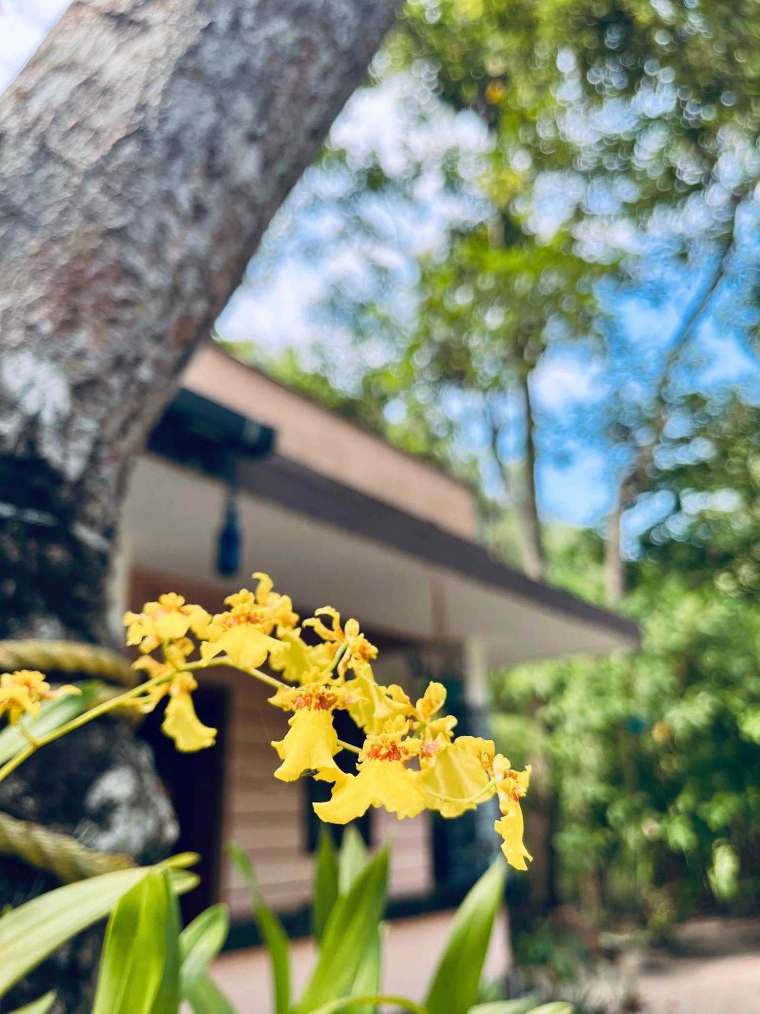 Marari Kallyani Beach Homestay マラリクラム エクステリア 写真