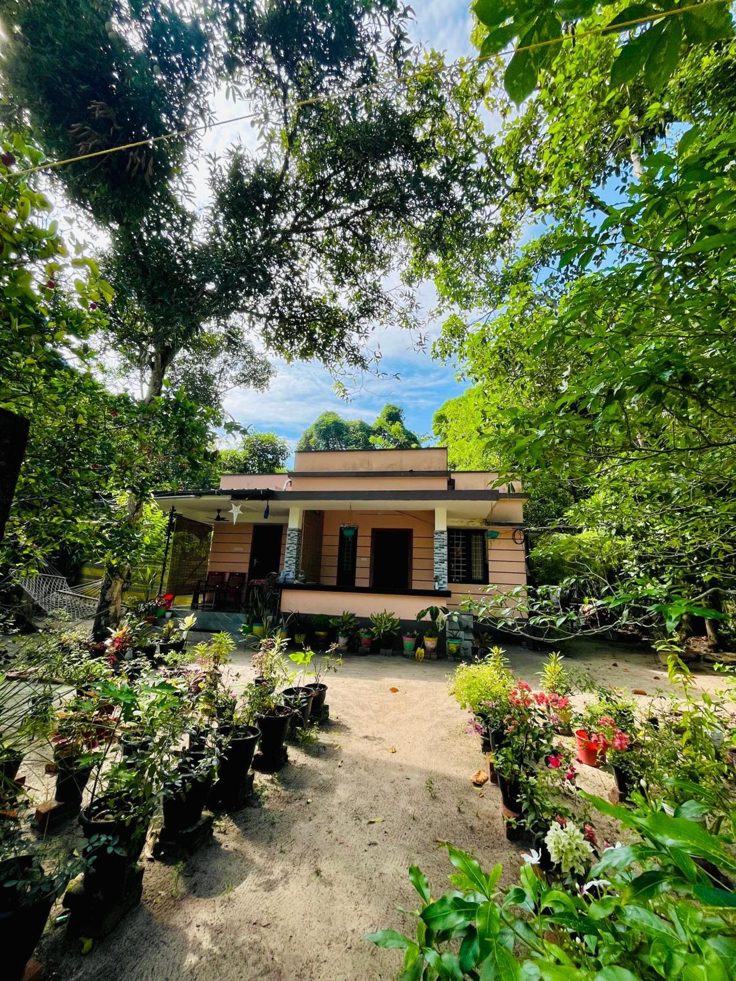 Marari Kallyani Beach Homestay マラリクラム エクステリア 写真